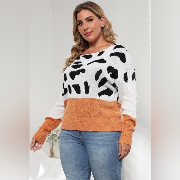 Roaring Fashion Color Block Leopard Sweater - Picture 2 of 5
